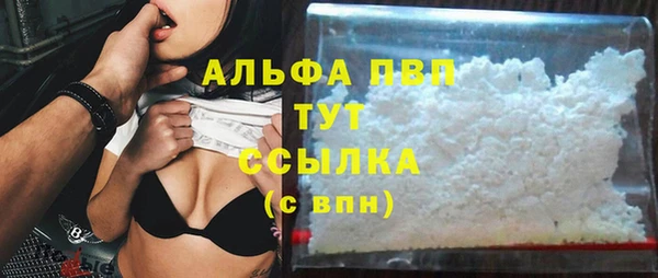 хмурый Новозыбков