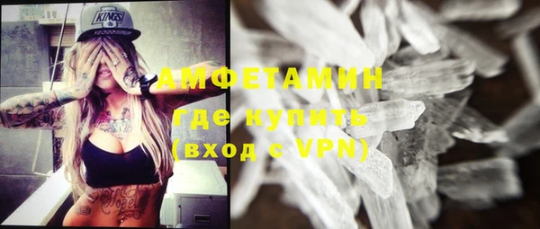 трава Няндома
