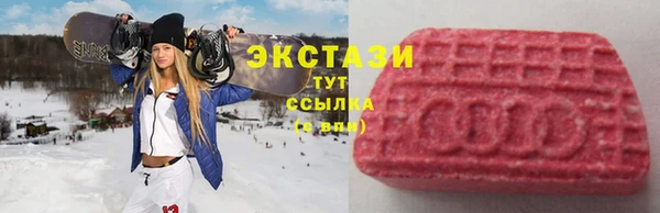 хмурый Новозыбков