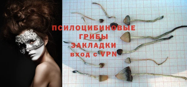 прущая мука Новодвинск