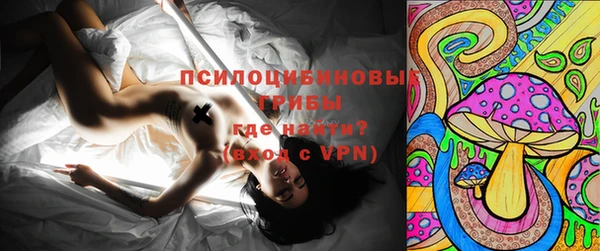 хмурый Новозыбков