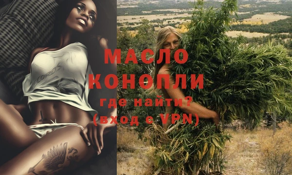 хмурый Новозыбков