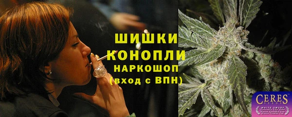 хмурый Новозыбков