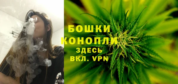 хмурый Новозыбков