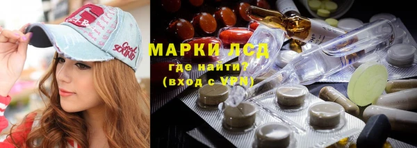 хмурый Новозыбков