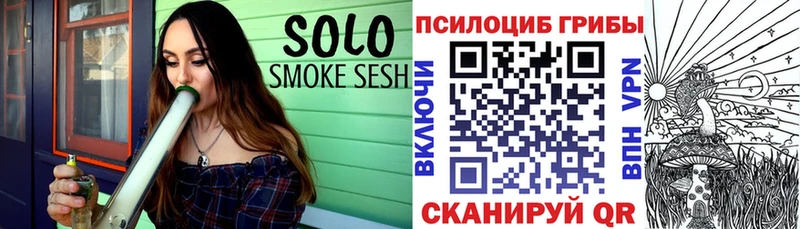 где купить   Правдинск  Псилоцибиновые грибы мицелий 