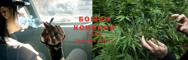 Конопля Bruce Banner  Правдинск 